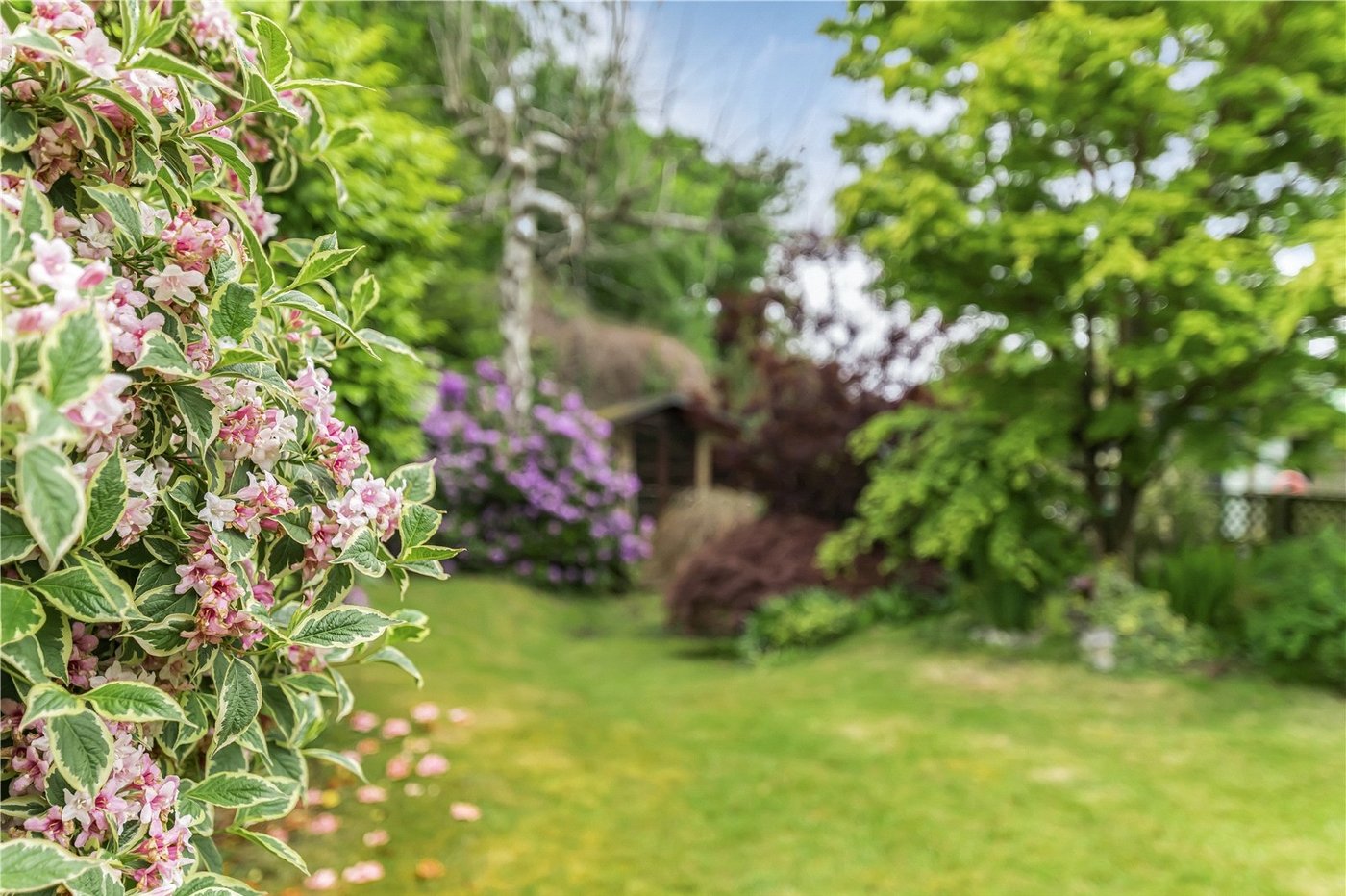 4 bedroom house for sale in Bexley | Robinson Jackson