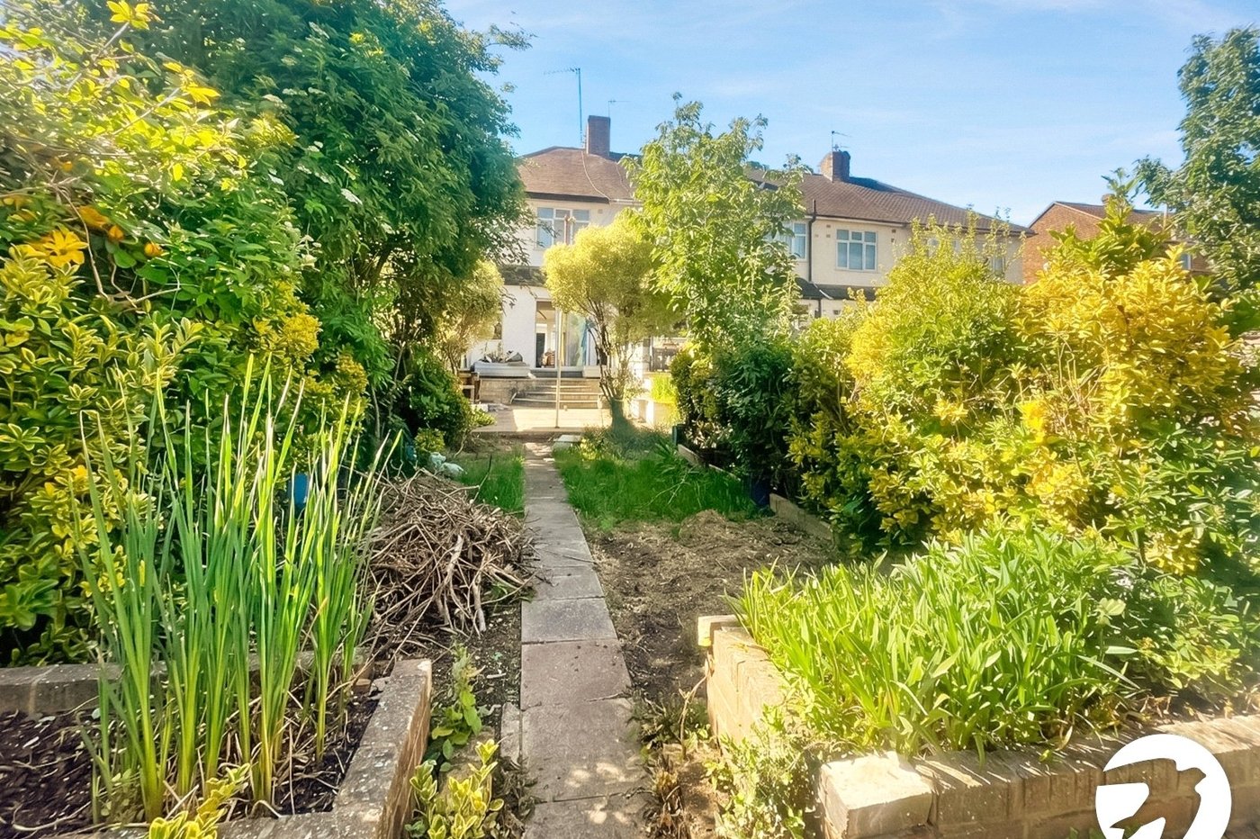 3 bedroom house to rent in Belvedere | Robinson Jackson